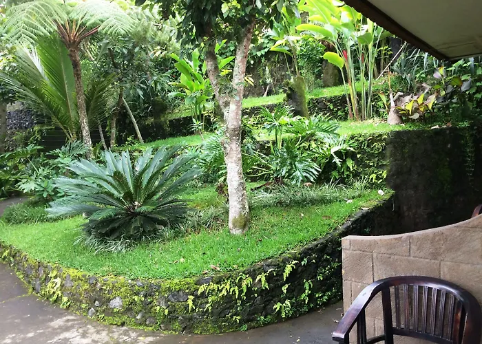 The Kayuan Guest house 3*